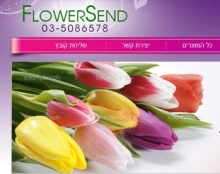 SendFlower - פרחים ומתנות