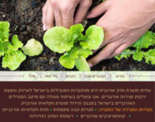 מיתוג שדות 
