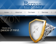 diamon Berzon - ביטוח יהלומים