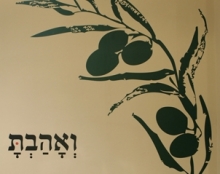 מיתוג רשת חומוסיית מדאמס