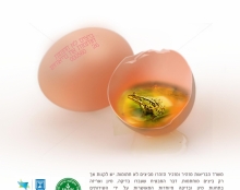 הדמיה,איחוד פרסום