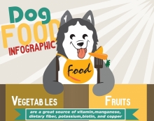 Dog Food Infographic 
