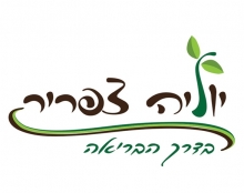 יוליה צפריר - מיתוג