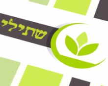 שתילי הדרך