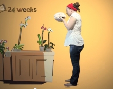 37 Weeks: A Stop Motion Pregnancy Film 