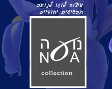 עיצובי לוגו